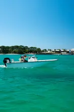 Thumbnail von Boston Whaler 170 Montauk