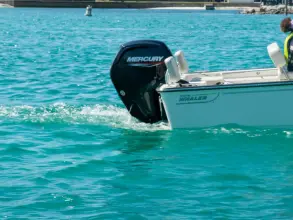 Thumbnail von Boston Whaler 170 Montauk
