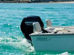 Thumbnail von Boston Whaler 170 Montauk