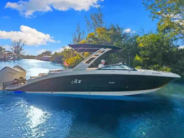 Sea Ray SDX 290 Outboard