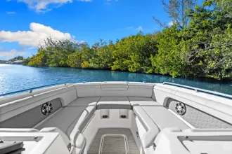 Thumbnail von Sea Ray SDX 290 Outboard