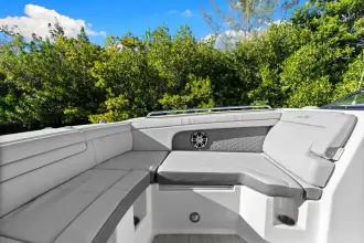 Thumbnail von Sea Ray SDX 290 Outboard