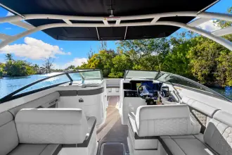 Thumbnail von Sea Ray SDX 290 Outboard
