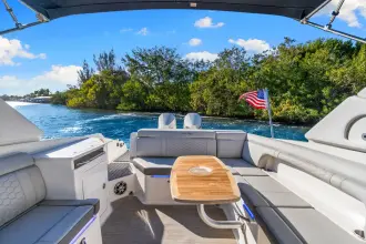 Thumbnail von Sea Ray SDX 290 Outboard