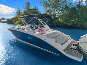 Thumbnail von Sea Ray SDX 290 Outboard