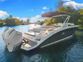 Thumbnail von Sea Ray SDX 290 Outboard