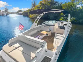 Thumbnail von Sea Ray SDX 290 Outboard