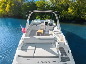 Thumbnail von Sea Ray SDX 290 Outboard