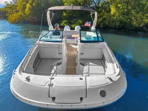 Thumbnail von Sea Ray SDX 290 Outboard