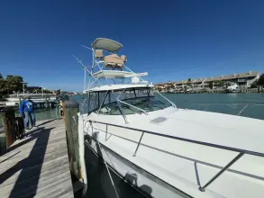Thumbnail von Riviera 4000 Offshore