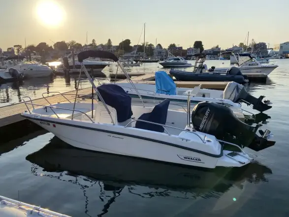 Boston Whaler 170 Dauntless
