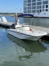 Thumbnail von Boston Whaler 170 Dauntless