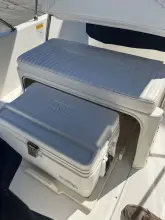 Thumbnail von Boston Whaler 170 Dauntless