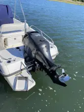 Thumbnail von Boston Whaler 170 Dauntless