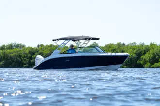 Sea Ray SDX 250 Outboard