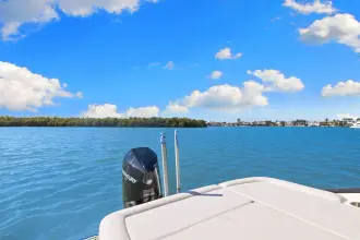 Thumbnail von Sea Ray 260 SLX-OB