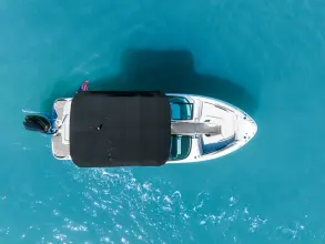 Thumbnail von Sea Ray 260 SLX-OB