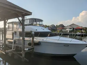 Thumbnail von Carver 455 Aft Cabin Motor Yacht Knot Sure