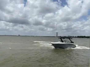 Thumbnail von Sea Ray SDX 270 Outboard