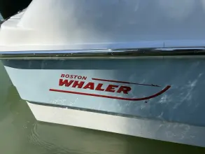 Thumbnail von Boston Whaler 240 Dauntless
