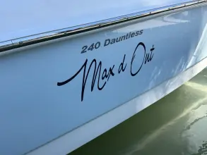 Thumbnail von Boston Whaler 240 Dauntless
