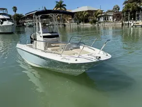 Thumbnail von Boston Whaler 240 Dauntless