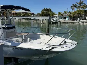 Thumbnail von Boston Whaler 240 Dauntless