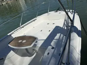 Thumbnail von Boston Whaler 240 Dauntless