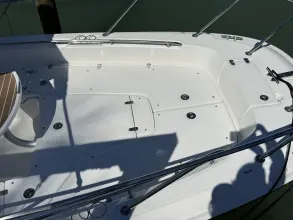 Thumbnail von Boston Whaler 240 Dauntless