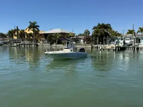 Thumbnail von Boston Whaler 240 Dauntless