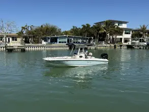 Thumbnail von Boston Whaler 240 Dauntless