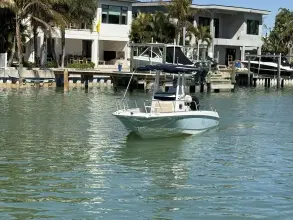 Thumbnail von Boston Whaler 240 Dauntless