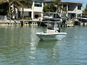 Thumbnail von Boston Whaler 240 Dauntless