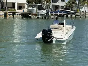 Thumbnail von Boston Whaler 240 Dauntless