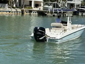 Thumbnail von Boston Whaler 240 Dauntless