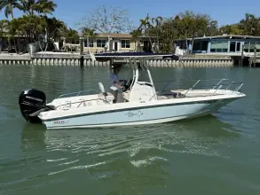 Thumbnail von Boston Whaler 240 Dauntless