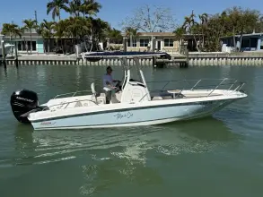 Thumbnail von Boston Whaler 240 Dauntless