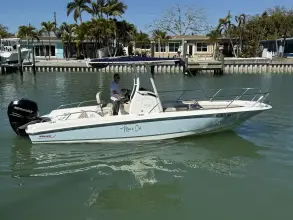 Thumbnail von Boston Whaler 240 Dauntless