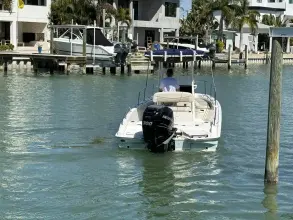 Thumbnail von Boston Whaler 240 Dauntless