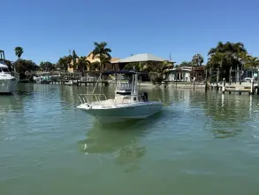 Thumbnail von Boston Whaler 240 Dauntless