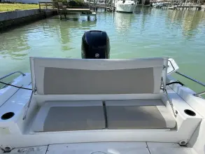 Thumbnail von Boston Whaler 240 Dauntless