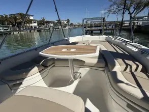 Thumbnail von Boston Whaler 240 Dauntless
