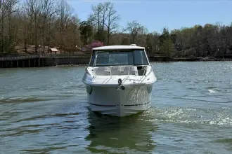 Thumbnail von Sea Ray Sundancer 320