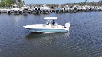 Boston Whaler 250 Dauntless