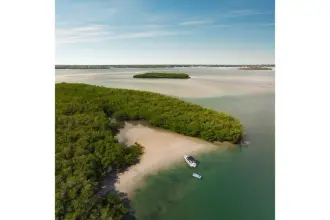 Thumbnail von Sea Ray SLX 260