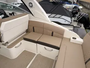 Thumbnail von Sea Ray 260 Sundancer