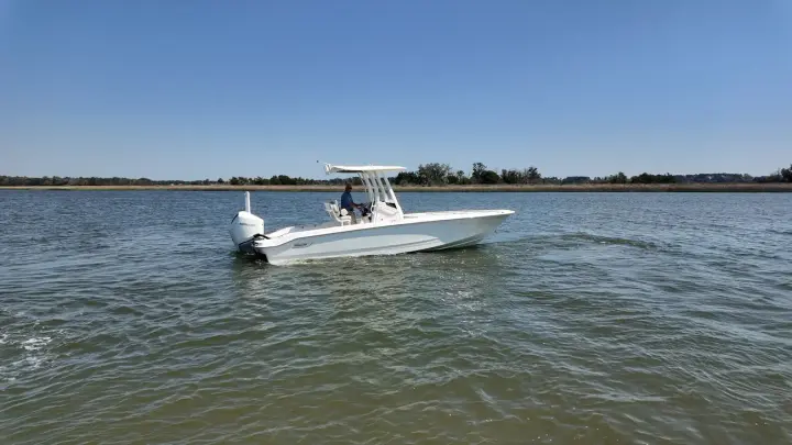 Boston Whaler 250 Dauntless