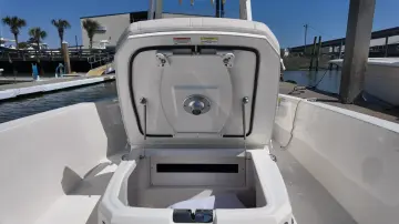 Thumbnail von Boston Whaler 250 Dauntless