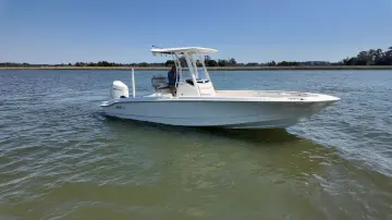 Thumbnail von Boston Whaler 250 Dauntless