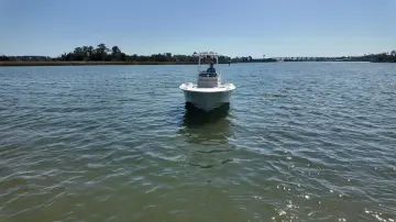 Thumbnail von Boston Whaler 250 Dauntless